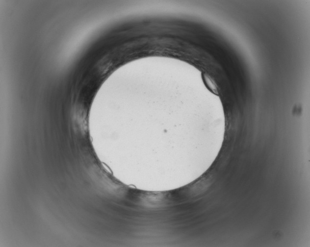 X0000111500479200908251054