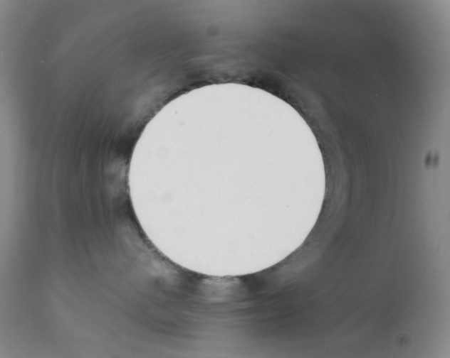 X0000111500480200908251054