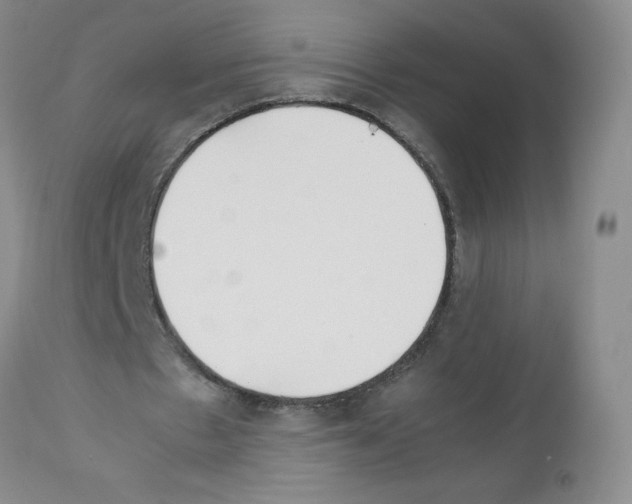 X0000111500481200908251053