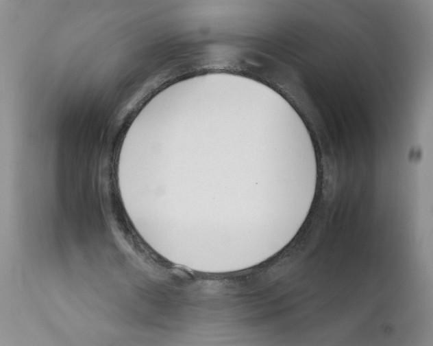 X0000111500482200908251053