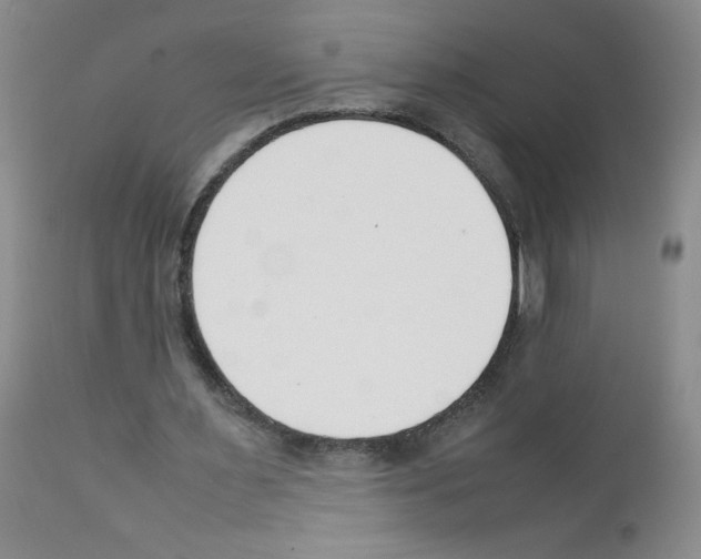 X0000111500483200908251053