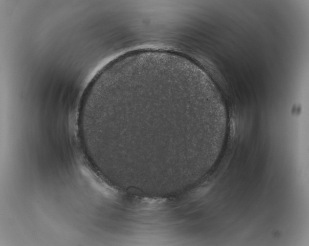 X0000111500484200908251053