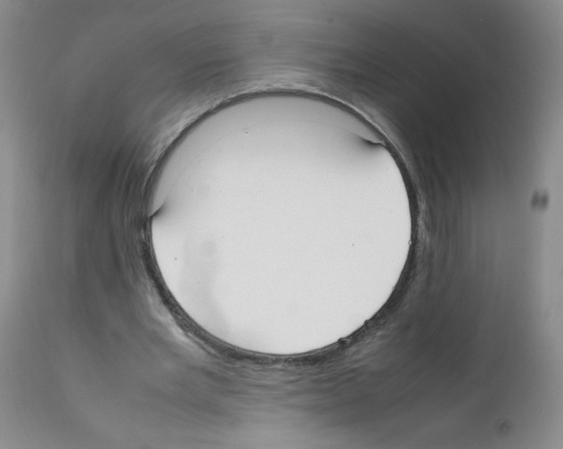 X0000111500485200908251053