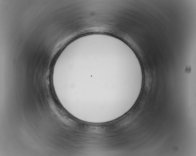 X0000111500486200908251053