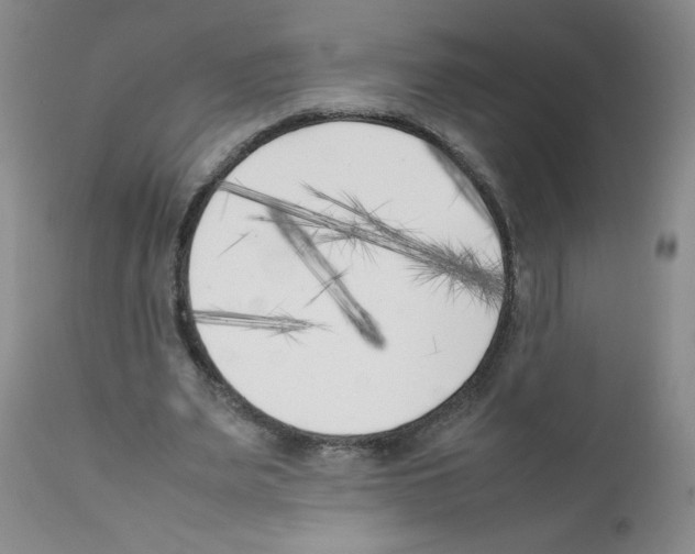 X0000111500487200908251053