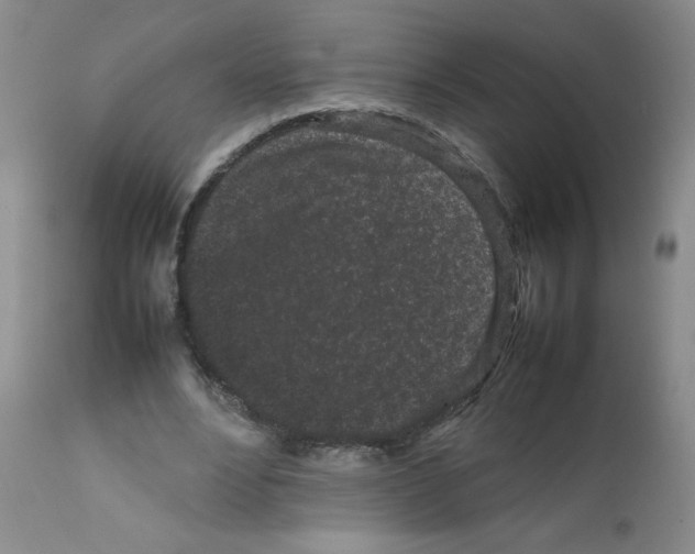 X0000111500488200908251053