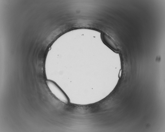 X0000111500489200908251053