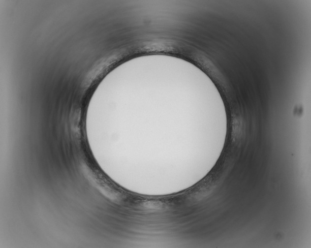 X0000111500490200908251053