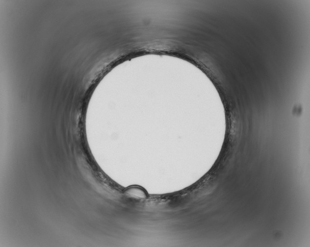 X0000111500491200908251053