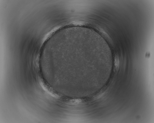 X0000111500492200908251053