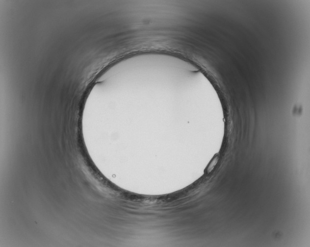 X0000111500493200908251053