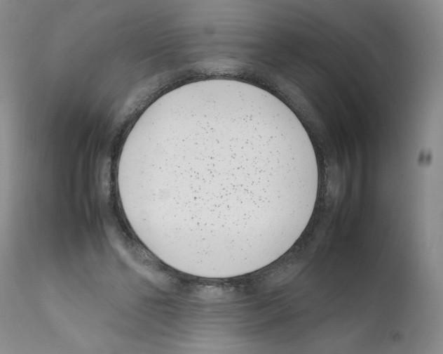 X0000111500494200908251053