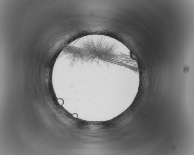 X0000111500495200908251053