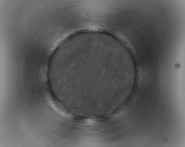 X0000111500496200908251053