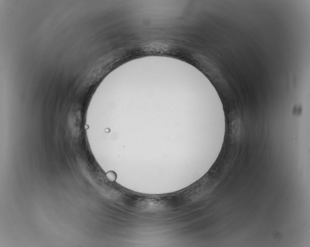 X0000111500498200908251053