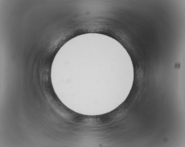 X0000111500499200908251053