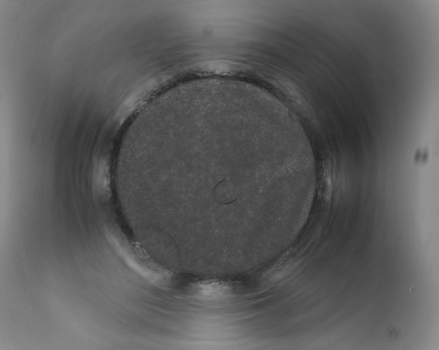 X0000111500500200908251053