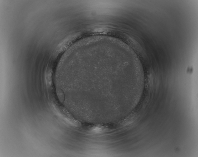 X0000111500504200908251053