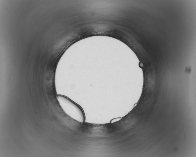 X0000111500505200908251053