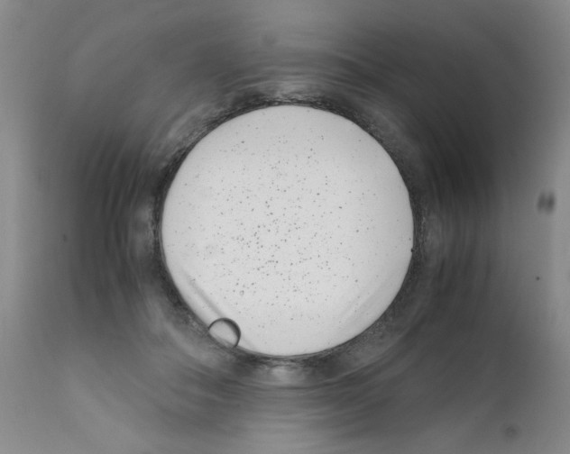 X0000111500506200908251053