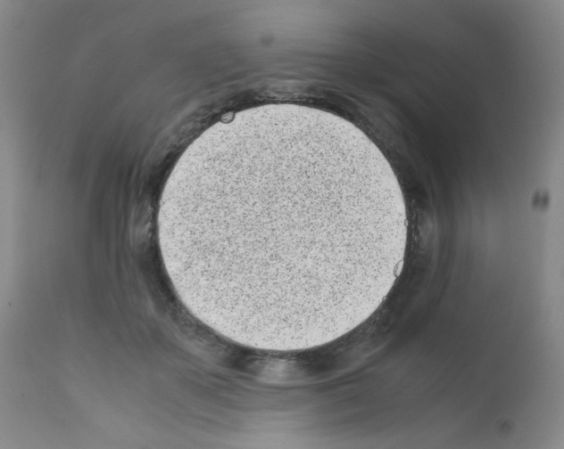 X0000111500507200908251053