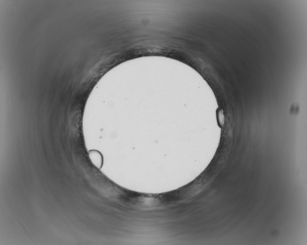 X0000111500509200908251053