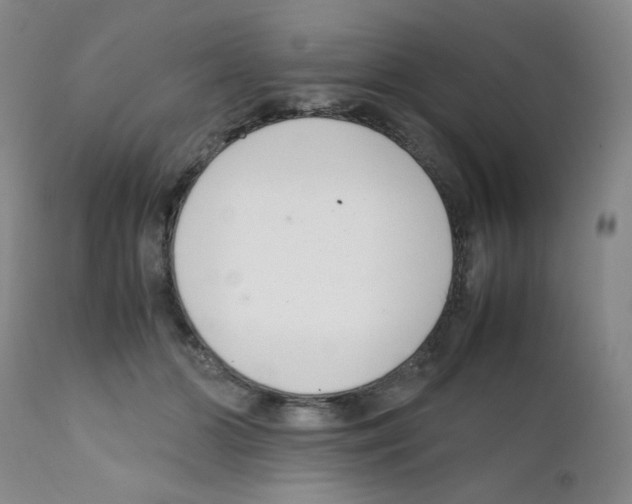 X0000111500510200908251053