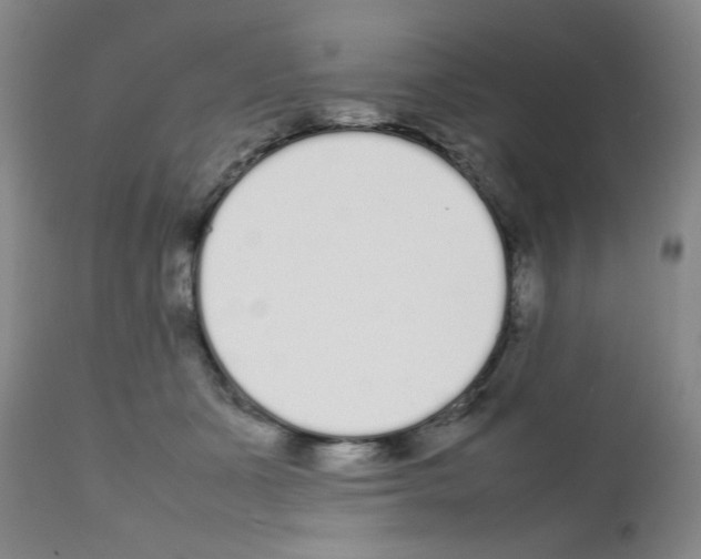 X0000111500511200908251053