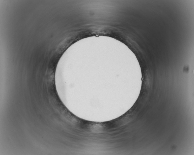 X0000111500513200908251053