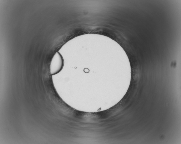 X0000111500515200908251052