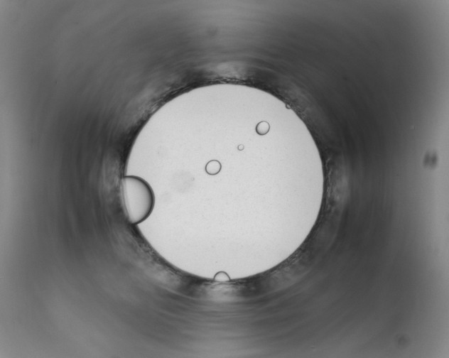 X0000111500518200908251052