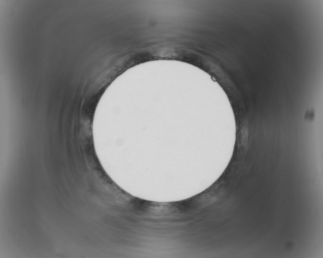 X0000111500521200908251052