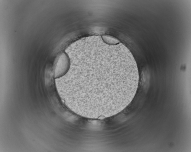 X0000111500522200908251052