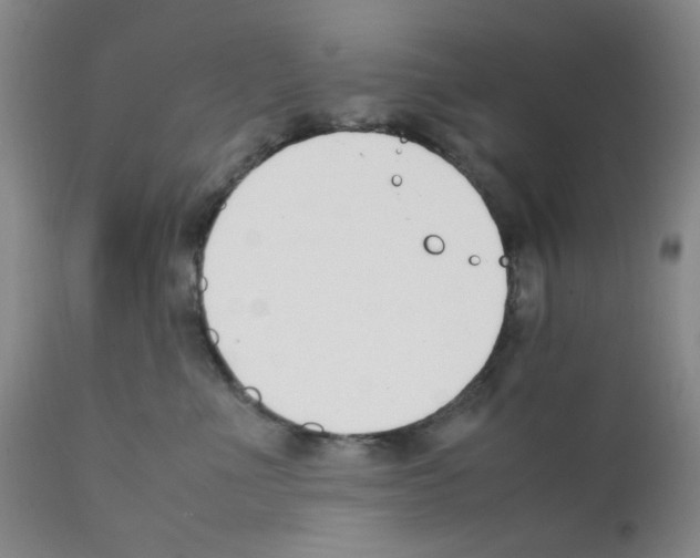 X0000111500523200908251052