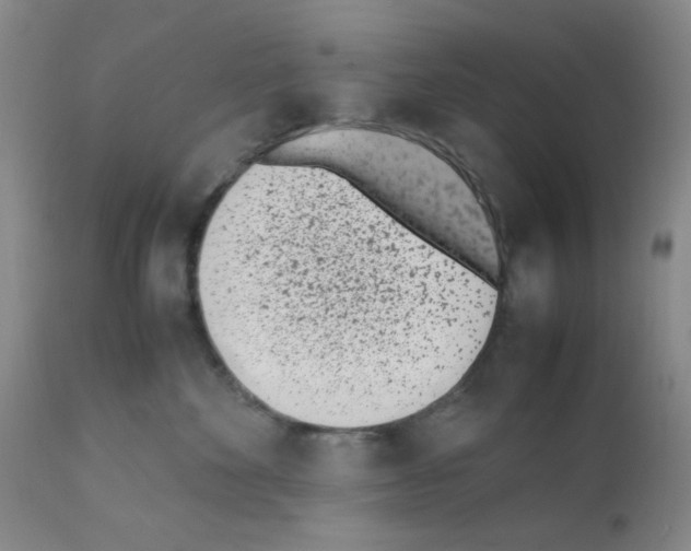 X0000111500524200908251052