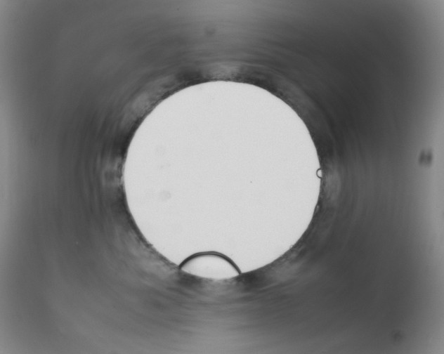 X0000111500525200908251052