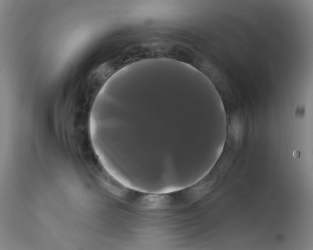 X0000111500526200908251052