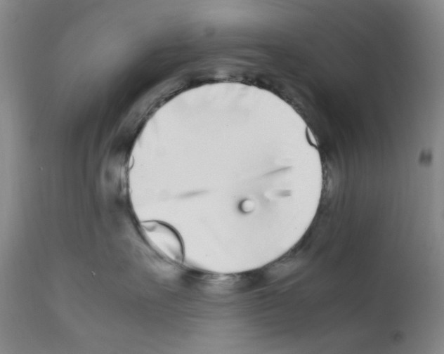 X0000111500527200908251052