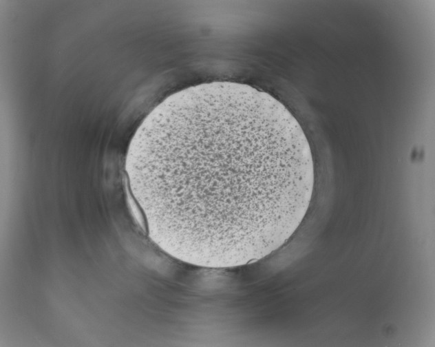 X0000111500528200908251052