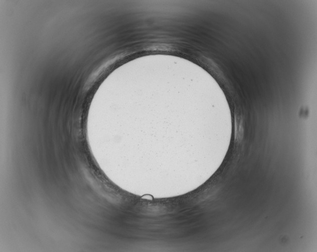 X0000111500531200908251052