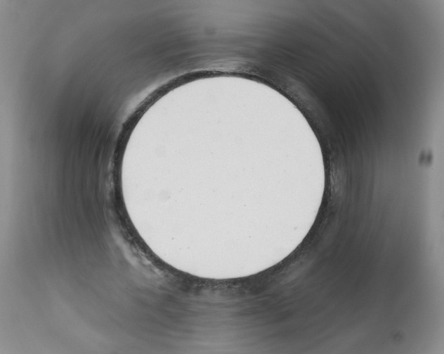 X0000111500532200908251052