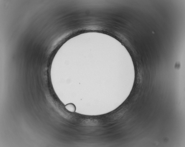 X0000111500535200908251052