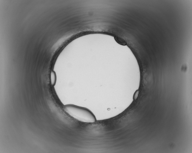 X0000111500536200908251052