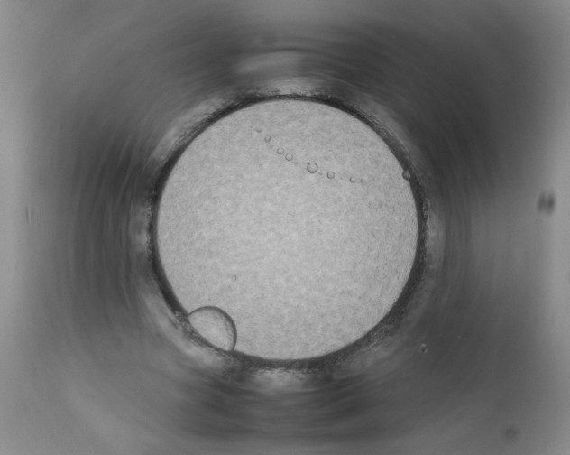 X0000111500537200908251052