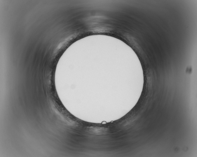 X0000111500539200908251052