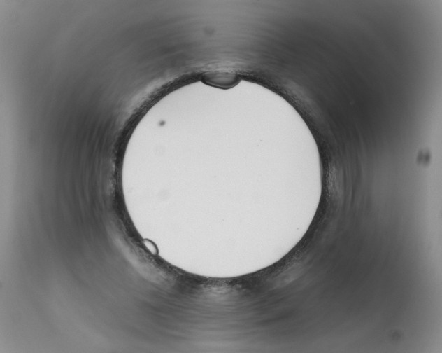 X0000111500540200908251052