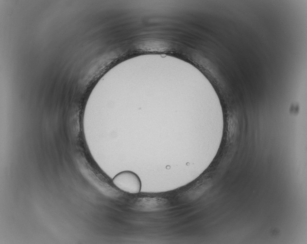 X0000111500541200908251052