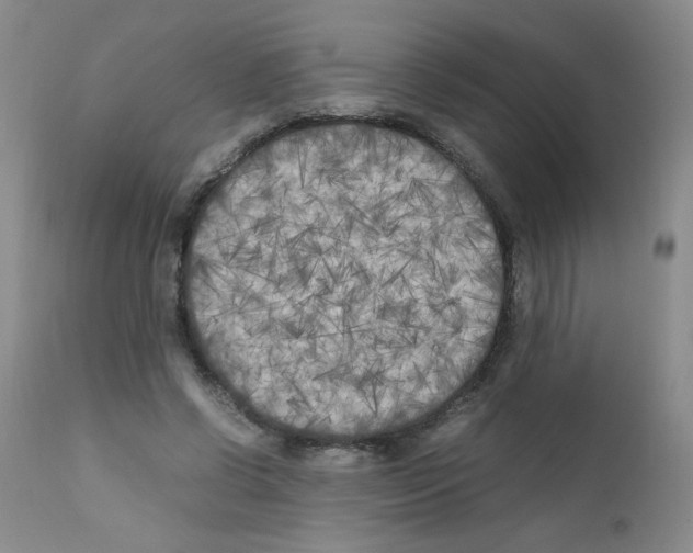 X0000111500542200908251052