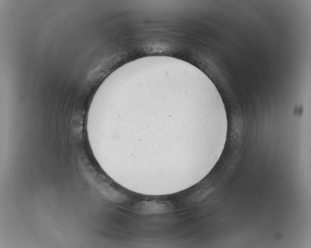 X0000111500545200908251052