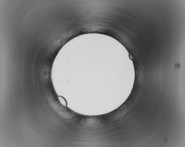 X0000111500546200908251052